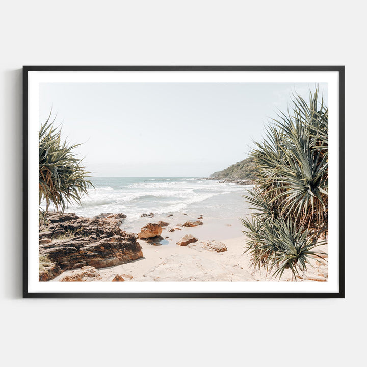 Coolum Palms