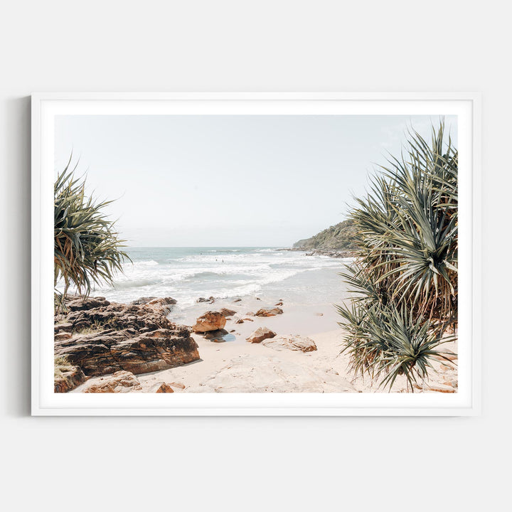 Coolum Palms