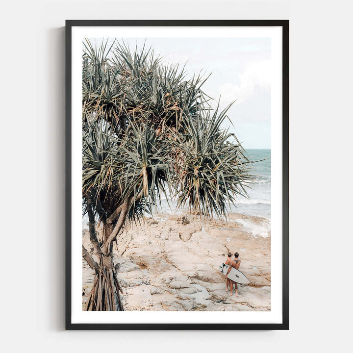 Pandanus