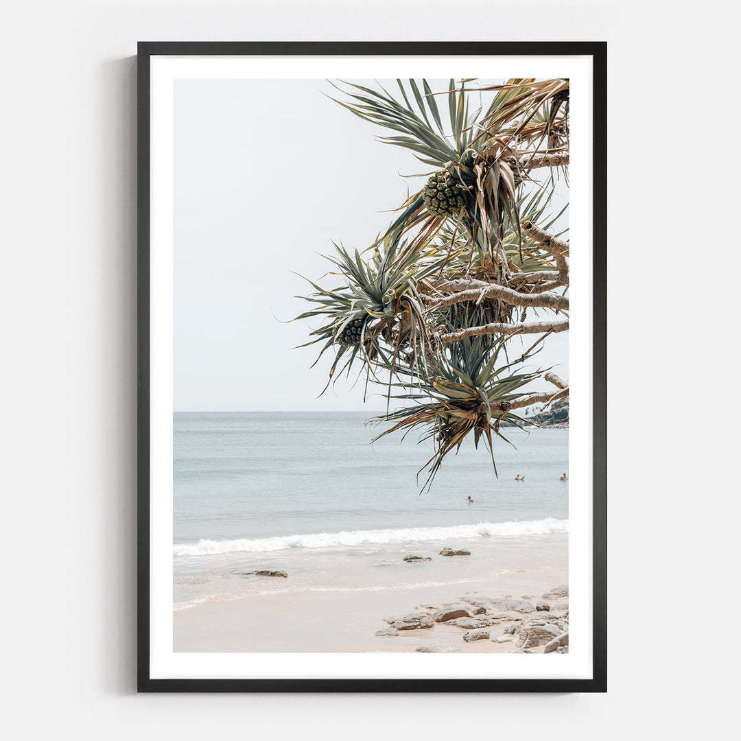 Pandanus Breeze