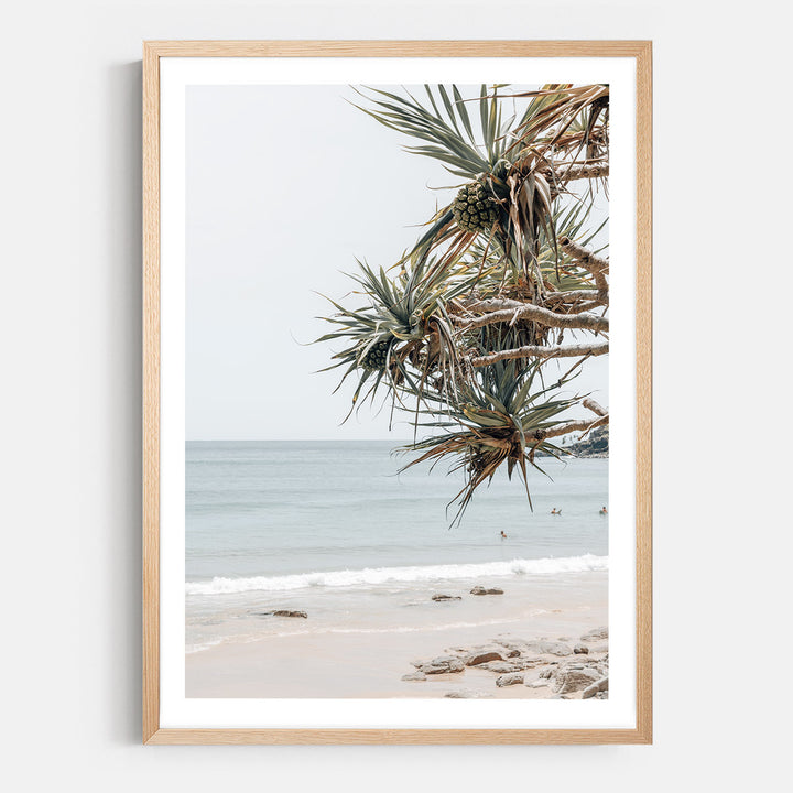 Pandanus Breeze