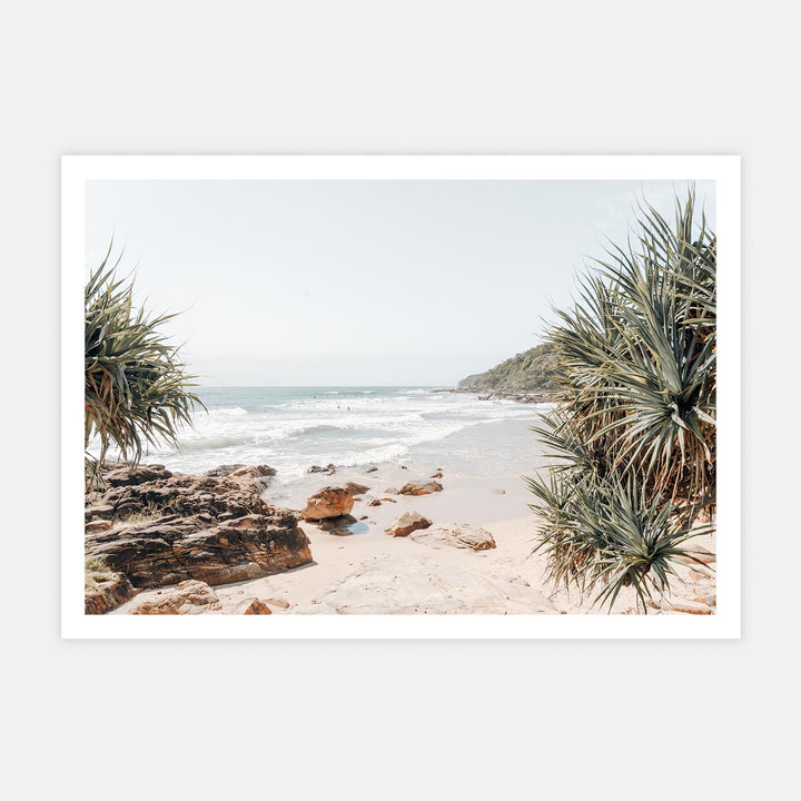 Coolum Palms