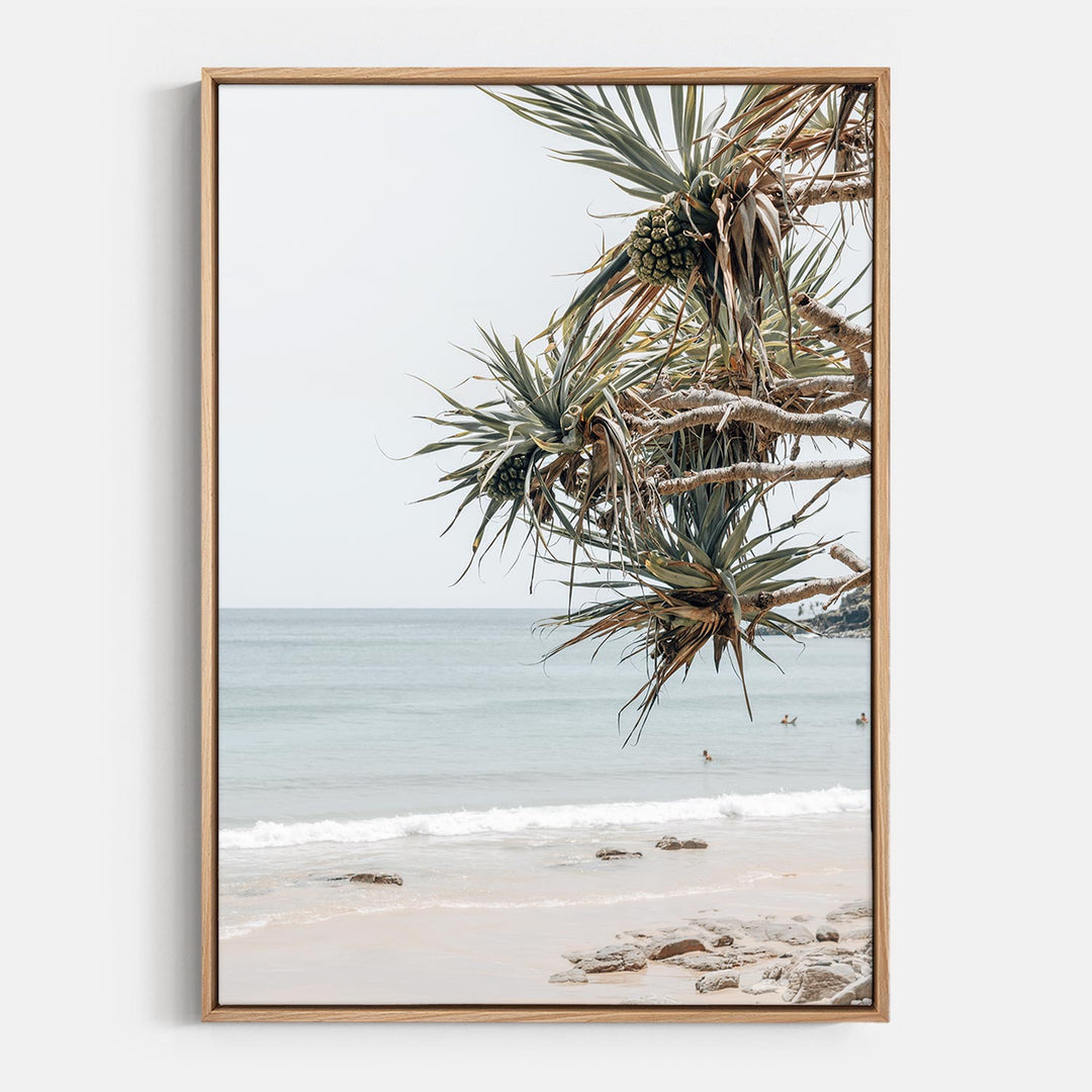 Pandanus Breeze