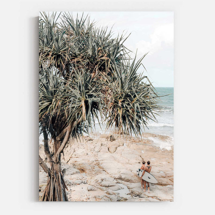 Pandanus